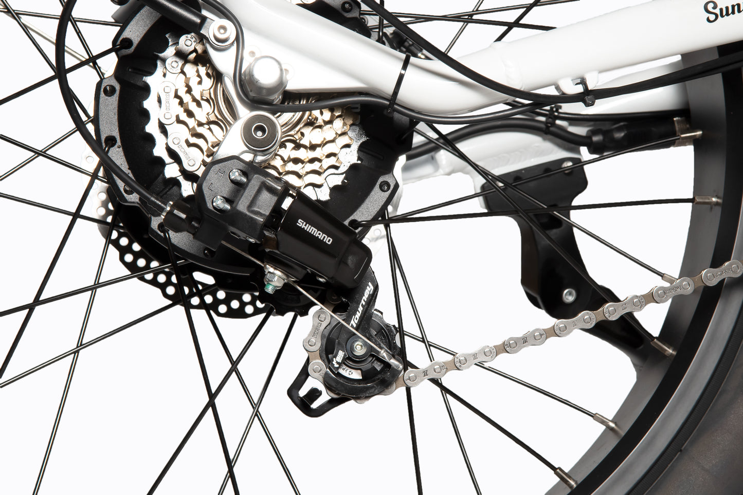 Moonlight eBike