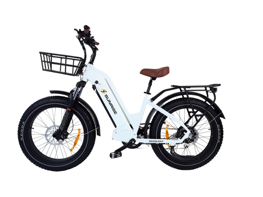Moonlight eBike