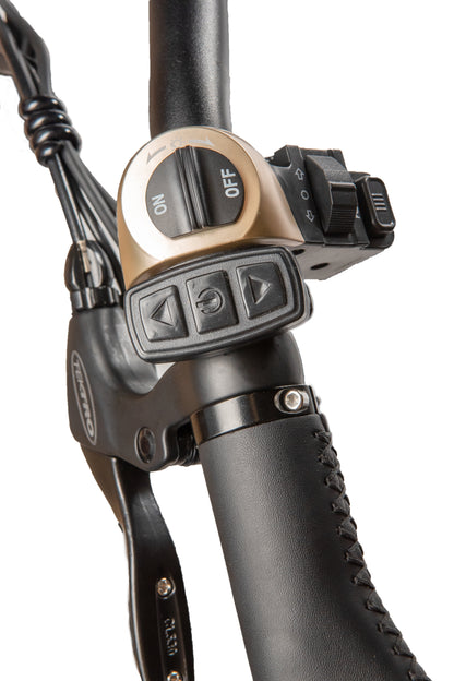 Hornet Folding eBike