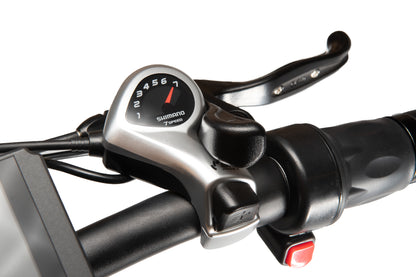 Hornet Folding eBike