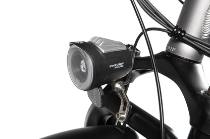 Hornet Folding eBike