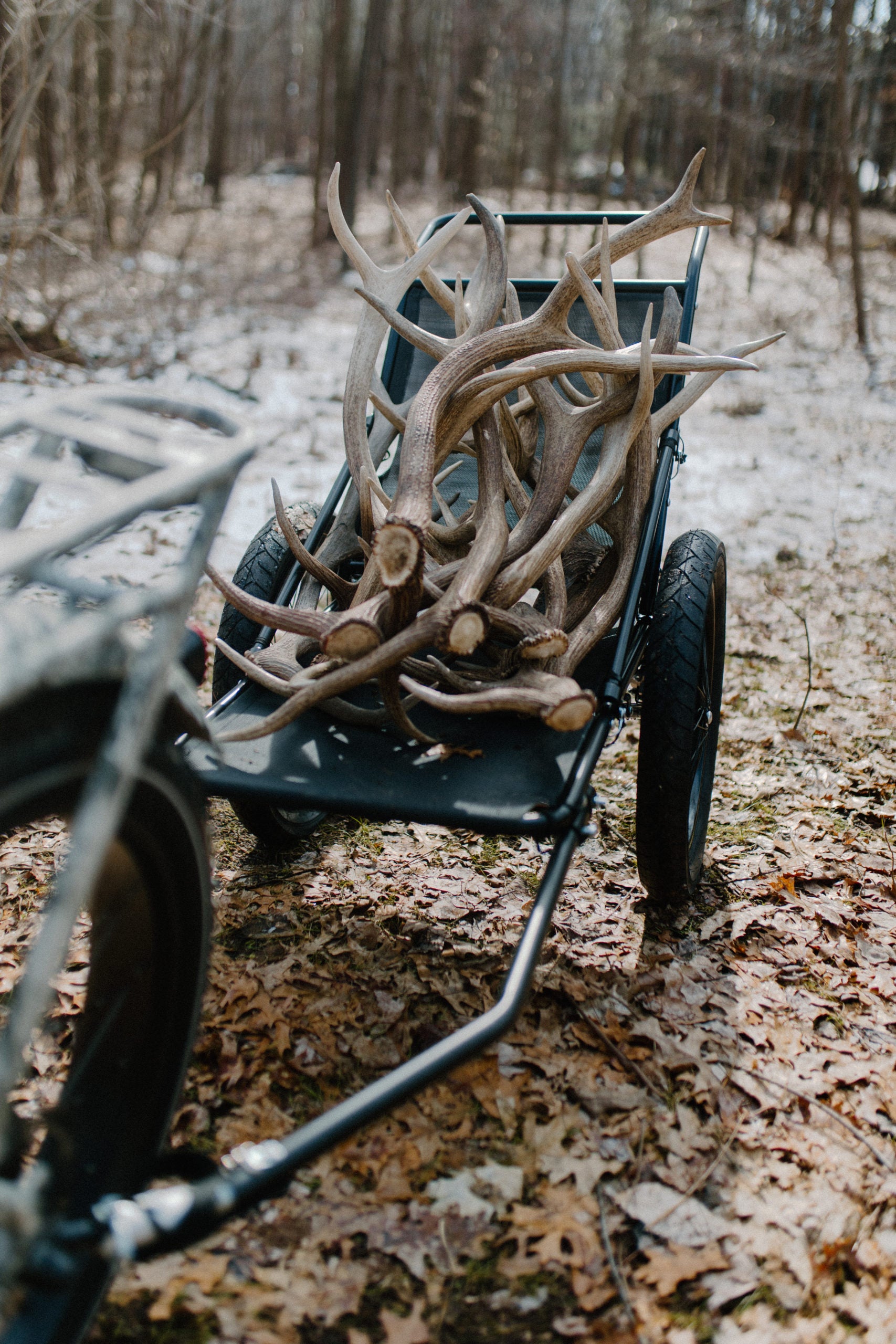 Hunting/Utility Bike Trailer Hunting/Utility Bike Trailer