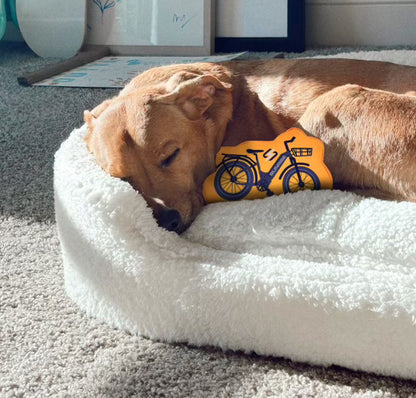 Sunrise Dog Toy