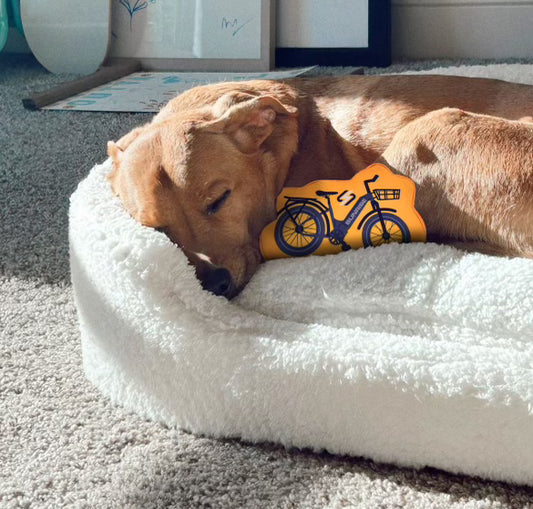 Sunrise Dog Toy