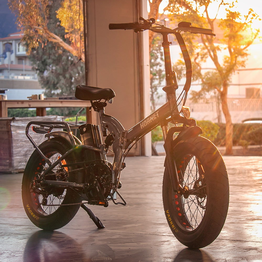 Hornet Folding eBike